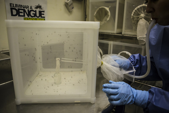 Two Zika cases confirmed in Colorado