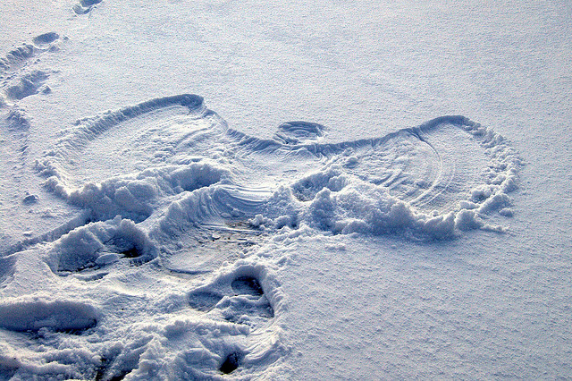 National Survey of Canadian Angel Group Activity