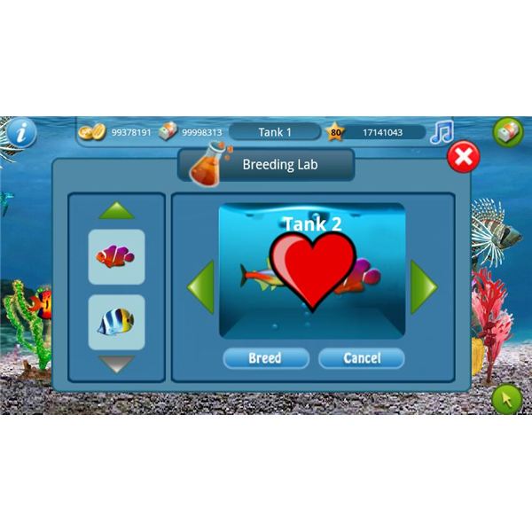 Breeding Your Fish
