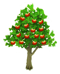 Apple Tree