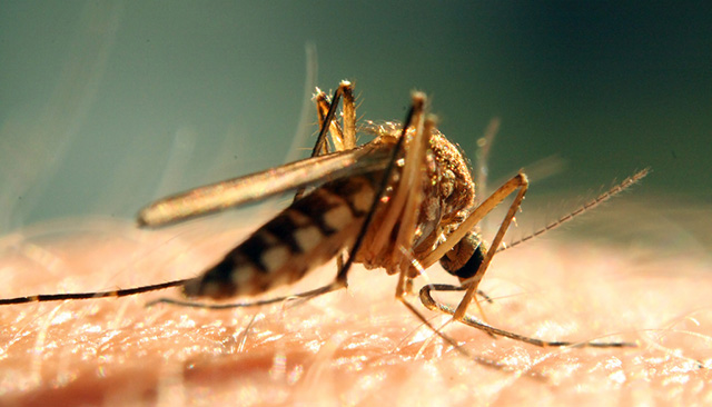 Birth defects linked to Zika virus still rising in Brazil