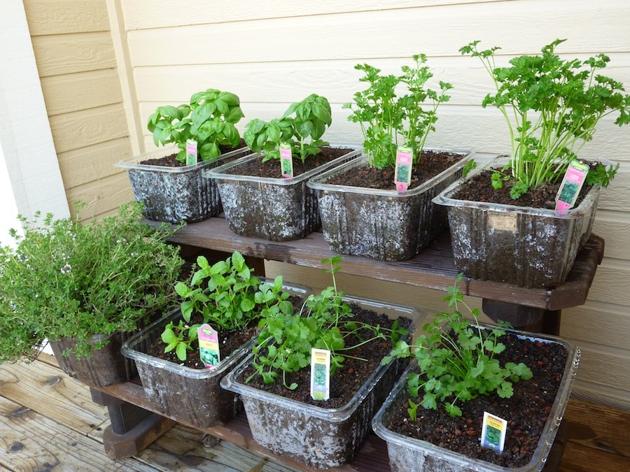 Plastic Tubs for Your Garden