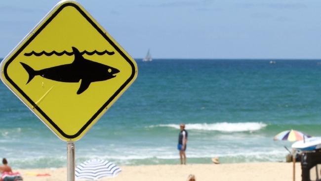 A shark attack has taken place off Yeppoon in central Queensland