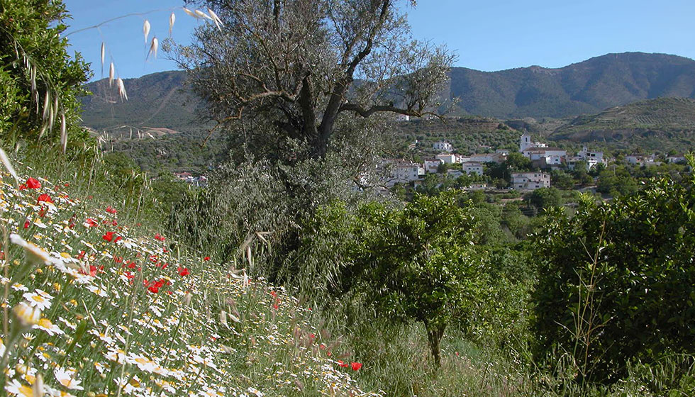 Rustic Blue Guide to El Valle de Lecrin