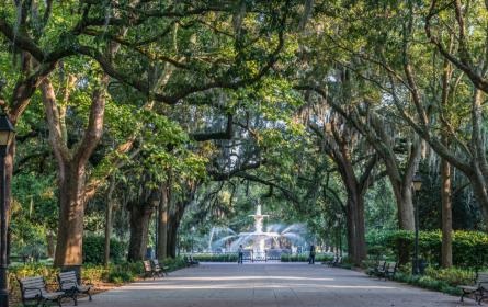 Savannah Travel Guide