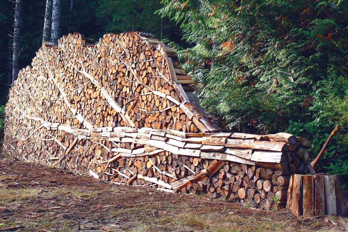 Success or failure with wood heating depends a lot on the fuel