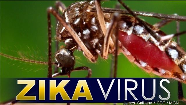 2 women abort pregnancies due to Zika infection, CDC says