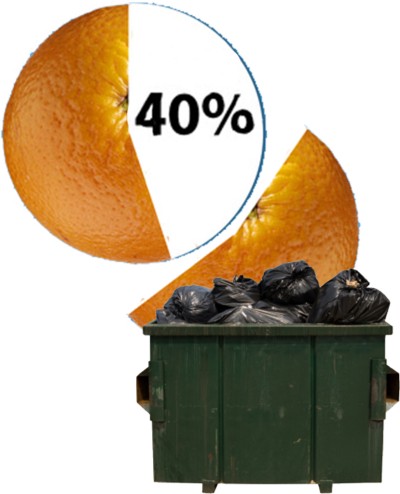 10 Reasons for Guaranteed Income