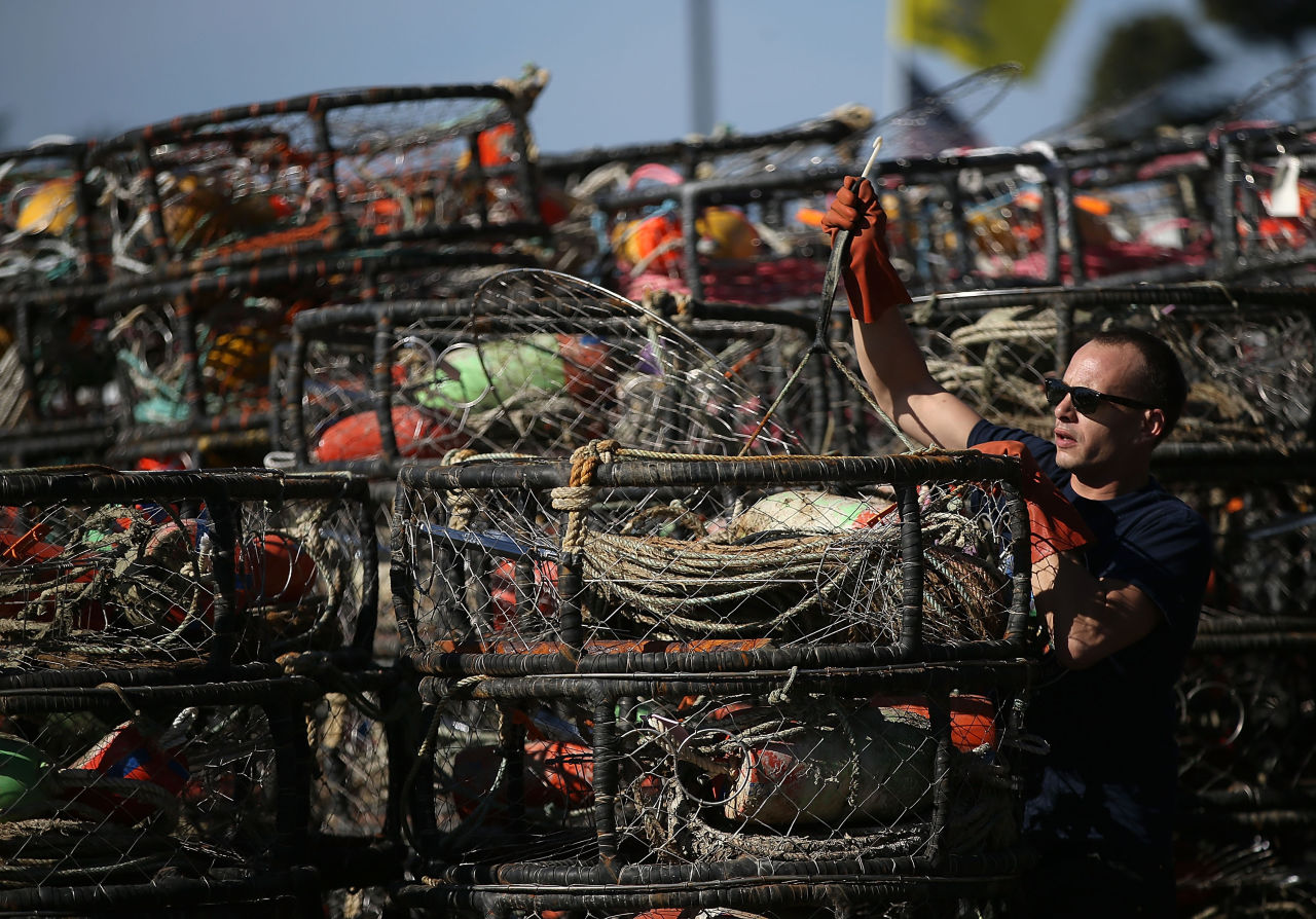 California Crab Fishermen Struggling, As Algae Blooms