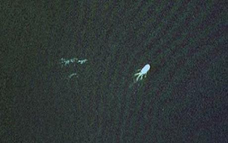 Is the Loch Ness monster on Google Earth just a boat?