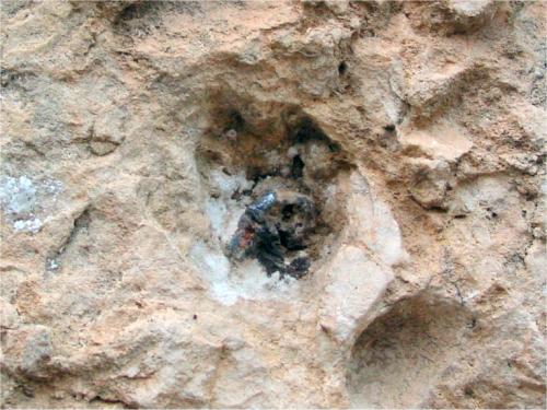 Ark of the Covenant Update