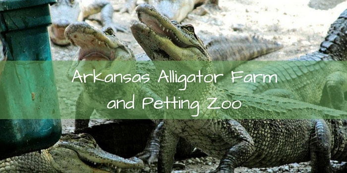 Arkansas Alligator Farm and Petting Zoo Coupons