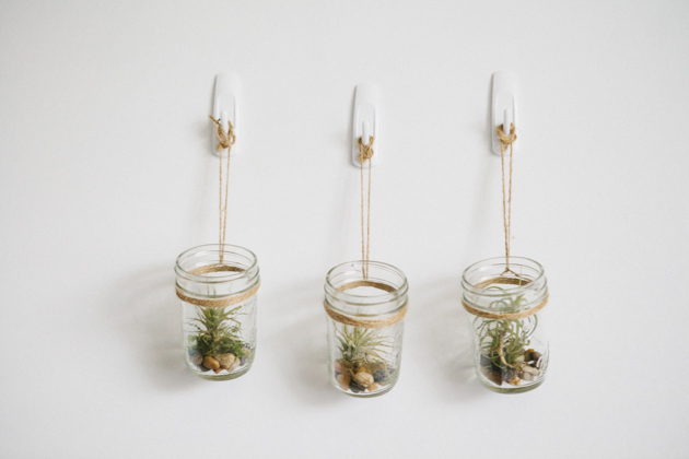 DIY Hanging Mason Jar Planter with Air Plants
