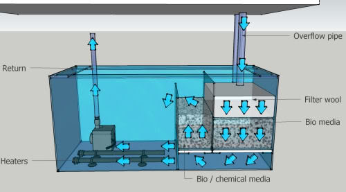 Sump Filters And The Saltwater Aquarium