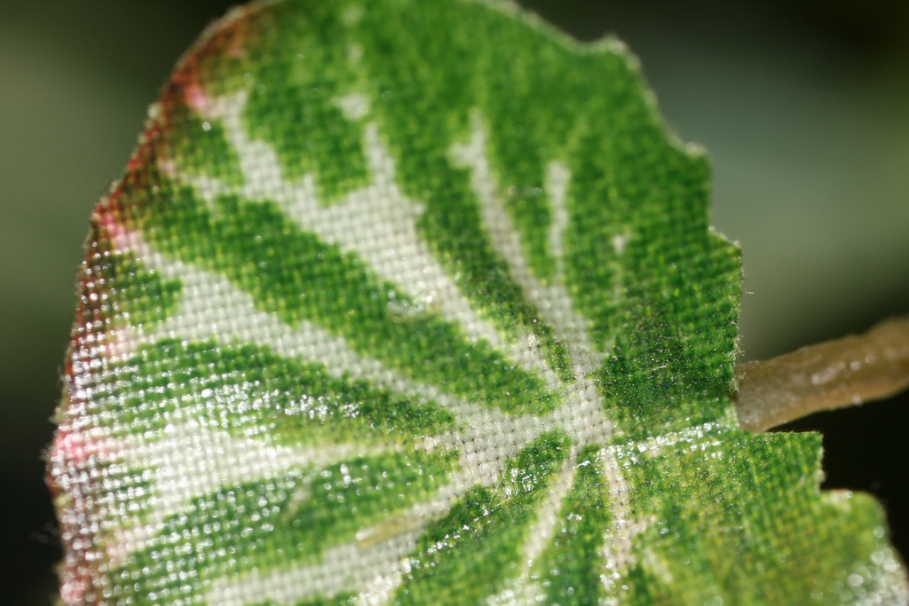 The Art Of Artificial Plants