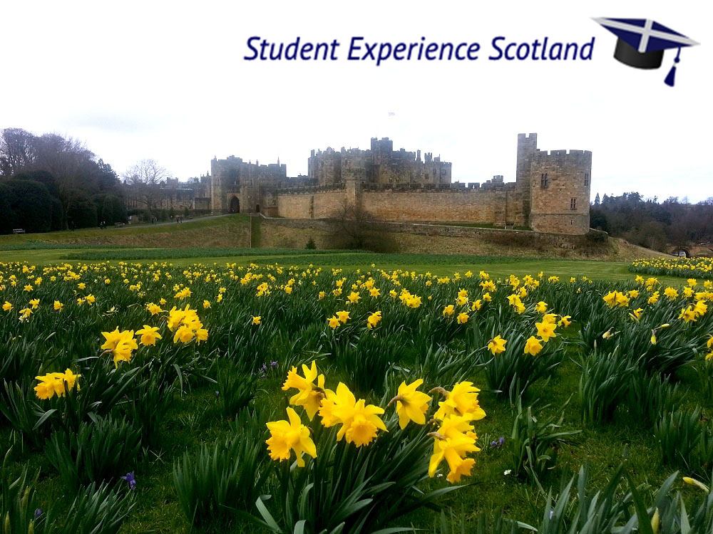 It’s a magical world at Alnwick Castle